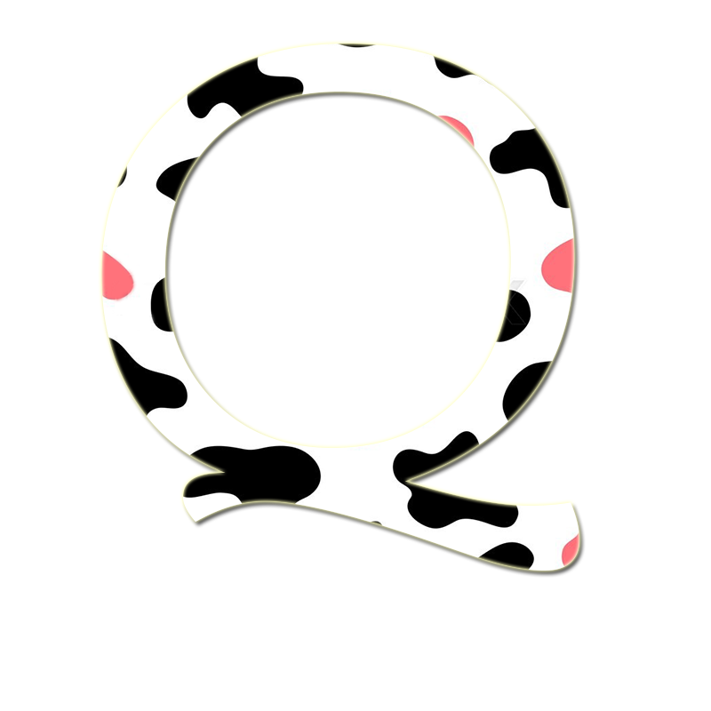 q company logo